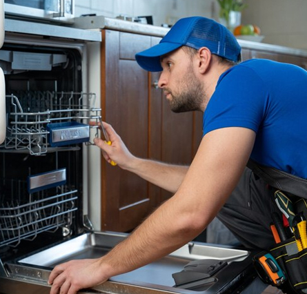 Expert Dishwasher Repair Services
