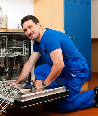 Dishwasher Repairs