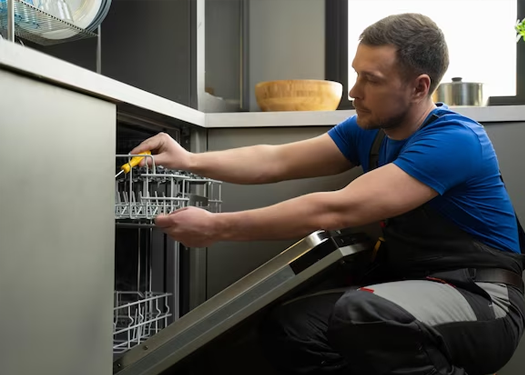 Dishwasher Services